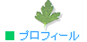 �v���t�B�[��